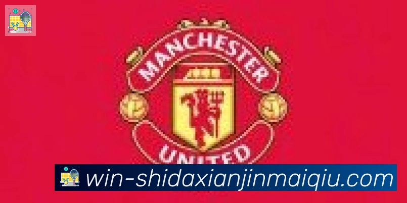 十大现金买球入口合作伙伴
